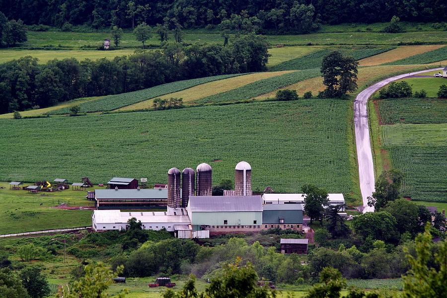 Farming Photograph by Paulette Thomas - Fine Art America