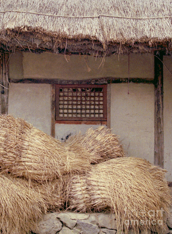 farming village photograph - Korean Bales Photograph by Sharon Hudson
