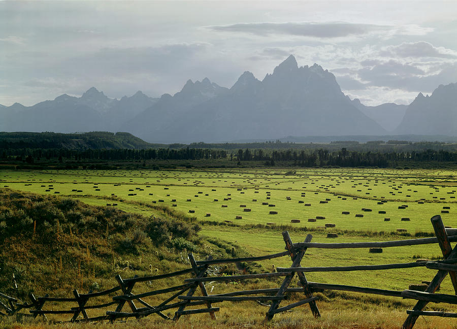 409254-Farmland and the Tetons, WY Photograph by Ed  Cooper Photography