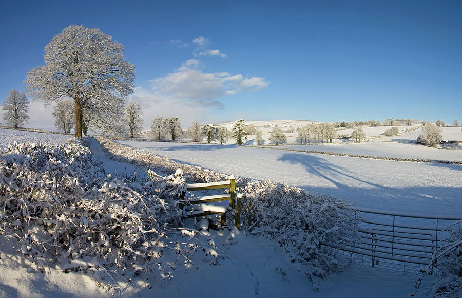 Farmland in Devon in mid winter Photograph by Pete Hemington