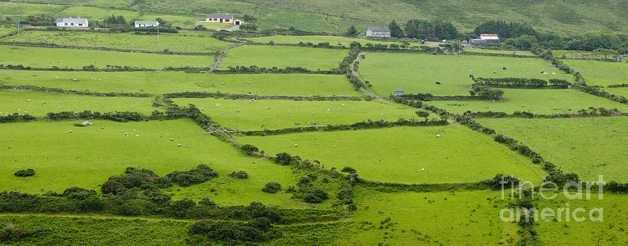 Farmland In Ireland Photograph by John Shaw