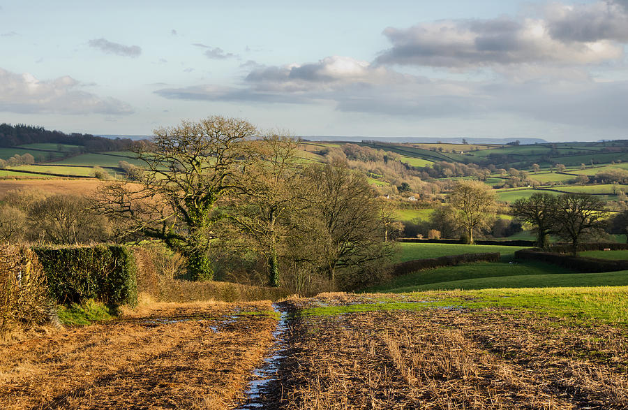 Farmland in Mid Devon Photograph by Pete Hemington
