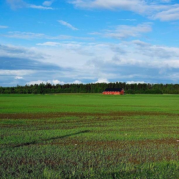 Farmland In Morningsun Photograph by Stig-Ole Skaldeboe