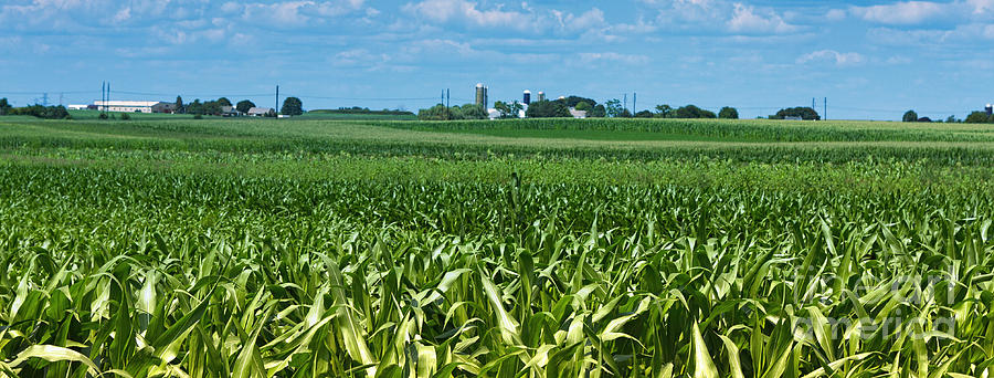 Summer Photograph - Farmland Panoramic by Terry Weaver