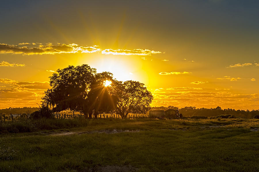 Cow Photograph - Farmland Sunset by Marvin Spates