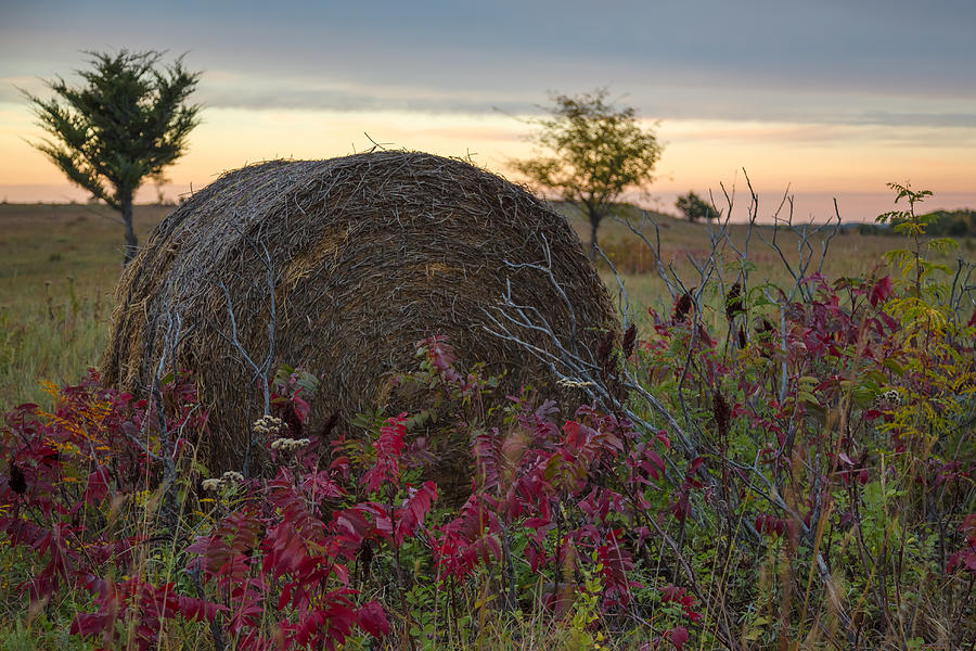 Farmland Sunset Photograph by Ryan Heffron