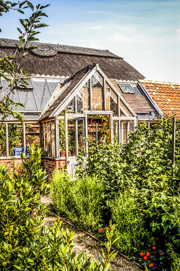 Farmyard Greenhouse Photograph by Chris Smith