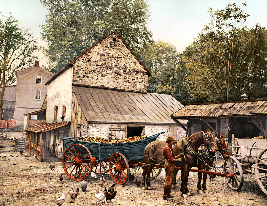 Horse Digital Art - Farmyard Scene 1900 by Unknown