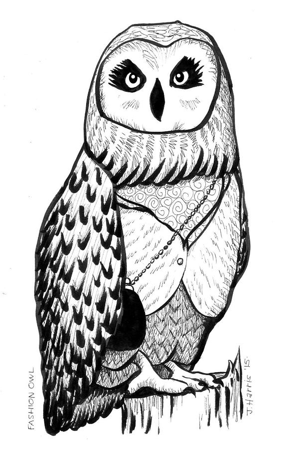 Fashion Owl Drawing by Jim Harris