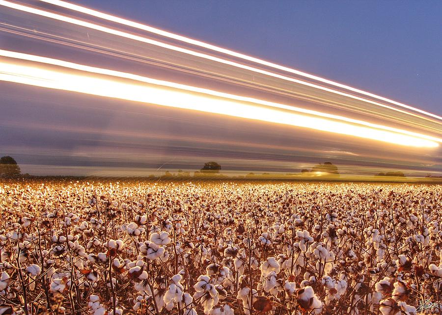 Fast Cotton Photograph by David Zarecor