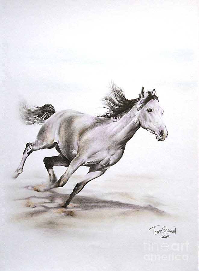 Horse Drawing - Fast in the Spirit by Tamer and Cindy Elsharouni