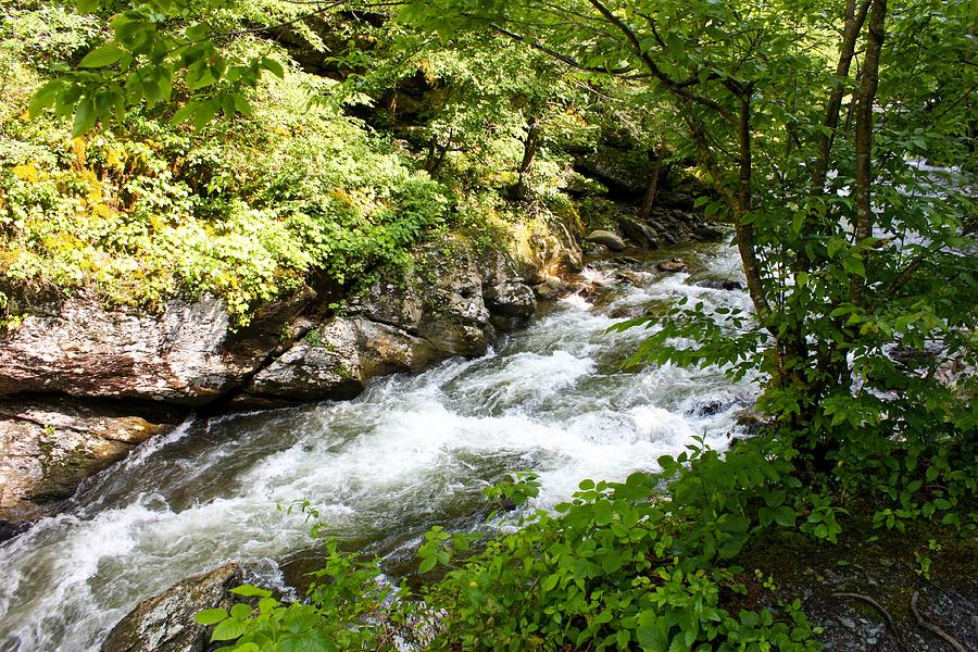 Fast Moving Stream Smoky Mountains Photograph by Cynthia Woods - Fine ...