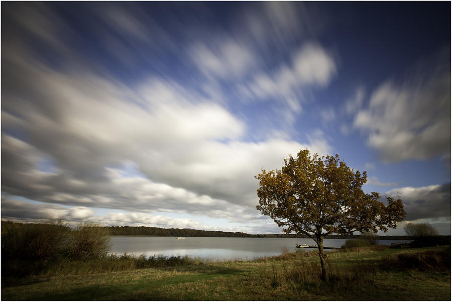 Tree Photograph - Fast Sky Slow Tree by Nigel Jones