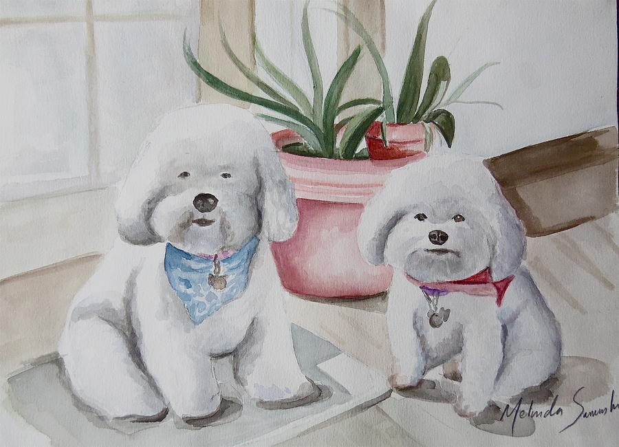 Fat Bichons Painting by Melinda Saminski - Fine Art America