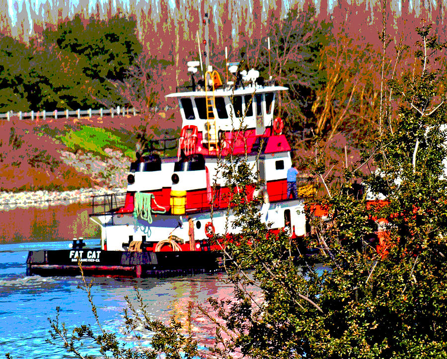 FAT CAT on Steamboat Slough Photograph by Joseph Coulombe