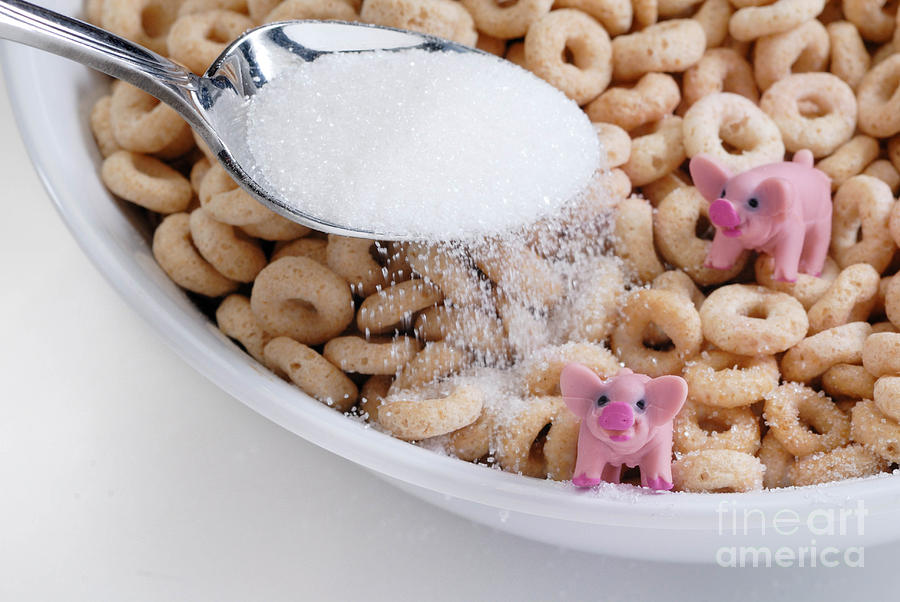 Cereal Photograph - Fat Pigs 7 by Amy Cicconi