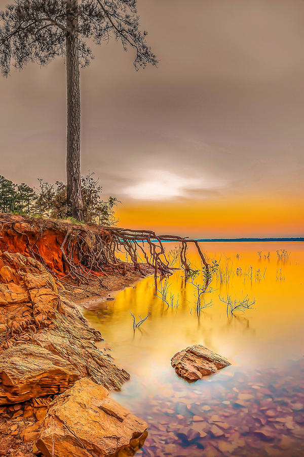 Nature Photograph - Fate by Ahmed Shanab Nature Photograph - Fate by Ahmed Shanab