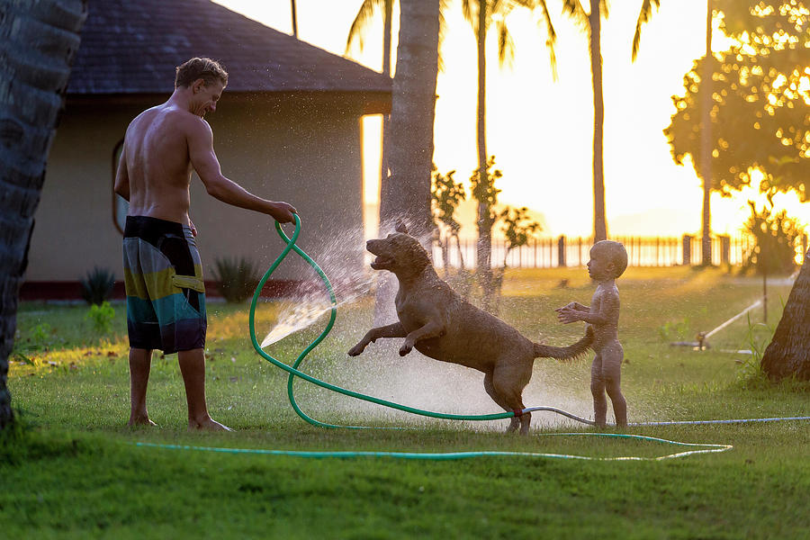 Sunset Photograph - Father, Baby Son And Pet Dog Splashing by Konstantin Trubavin