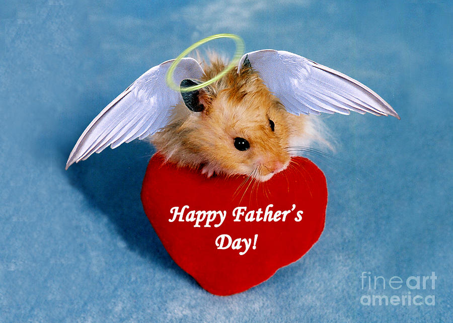 Candy Photograph - Fathers Day Hamster by Jeanette K