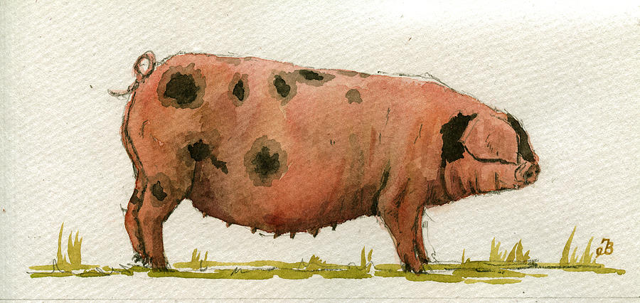 Pig Painting - Faty sow by Juan  Bosco