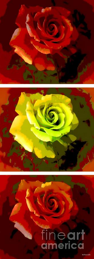 Fauvism Roses Triptych Photograph by Barbara A Griffin