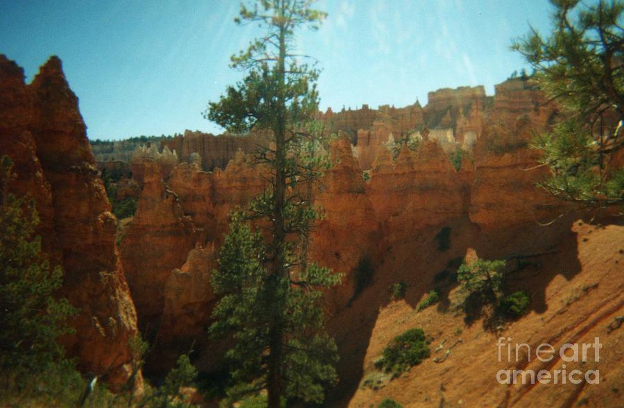 Grand Canyon National Park Photograph - Faux Grand Canyon 6 by Margaret Newcomb