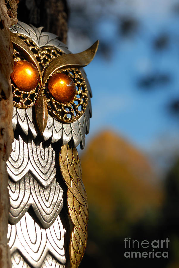 Faux Owl with Golden Eyes Photograph by Amy Cicconi