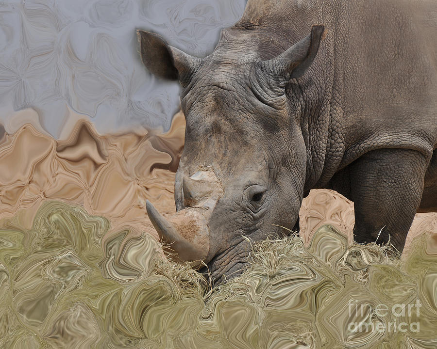Faux Rhino Photograph by Josephine Cohn
