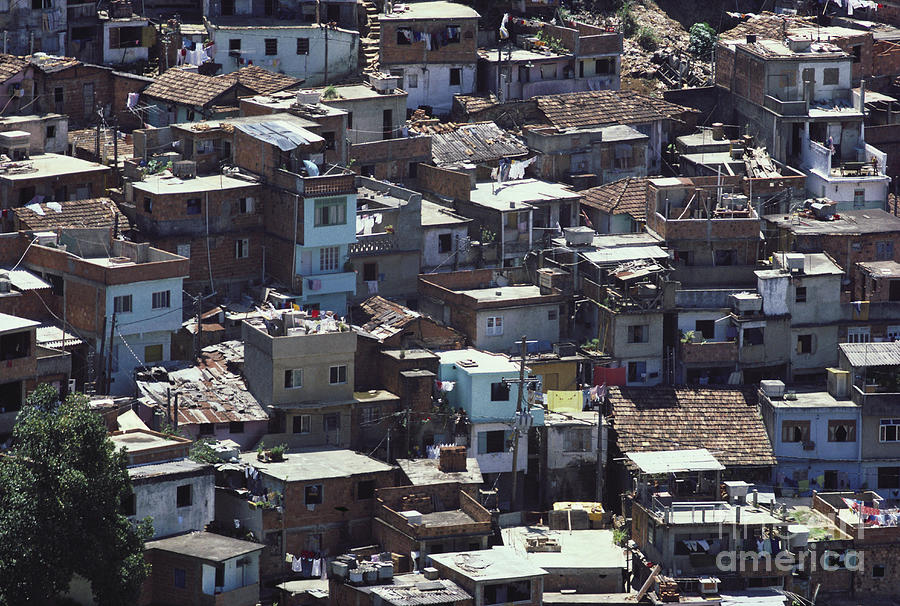 Favela In Rio De Janeiro Photograph by Tim Holt
