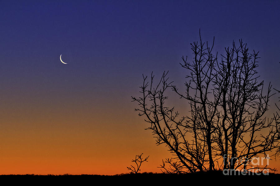 Favorite Moon Photograph by Jan Killian