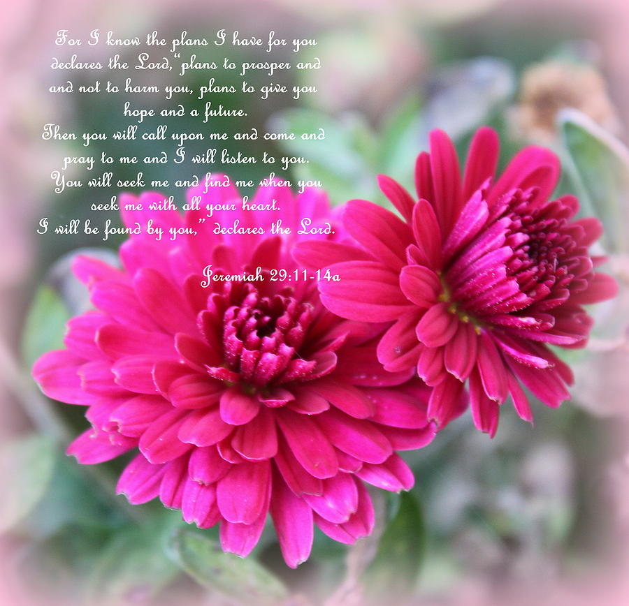 Favorite Scripture Photograph by Carolyn Ricks - Fine Art America