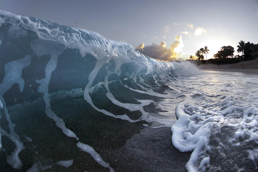 Nature Photograph - Dawn Wave by Sean Davey