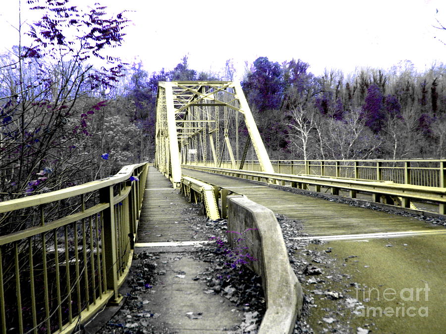 Tree Photograph - Fayette Station Bridge by Amy Sorrell
