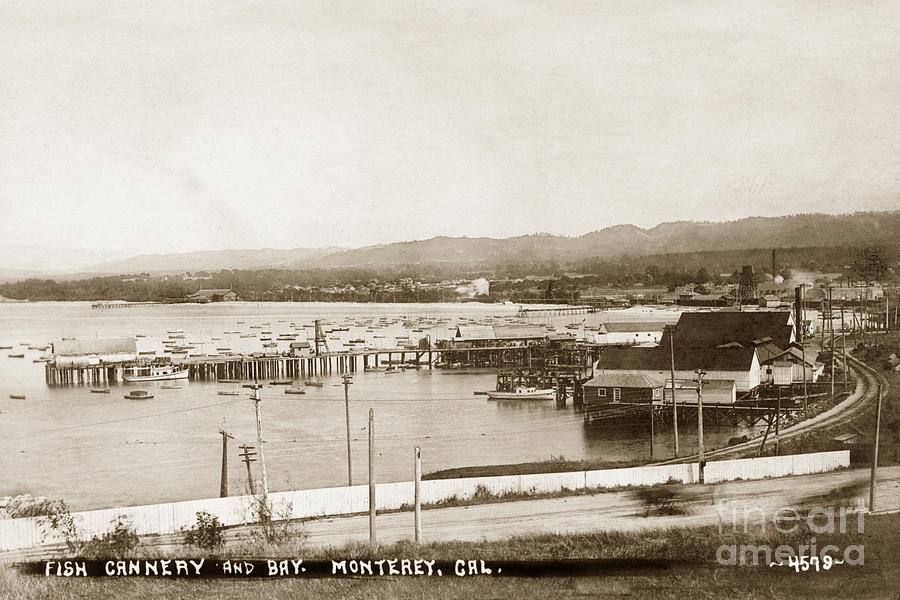 Cannery Photograph - F. E. Booth cannery and Fishermans Wharf looking East from the lower Presidio 1910 by Monterey County Historical Society