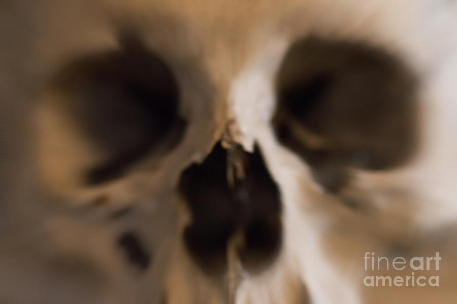 Abstract Photograph - Fear And Trembling - Skull by Michal Boubin