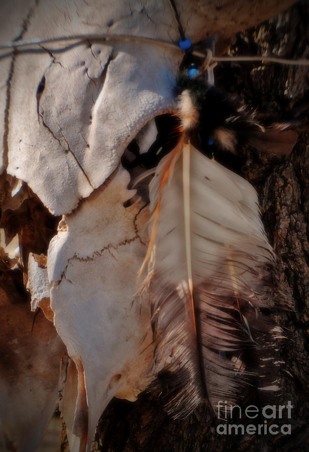 Feather and I Photograph by Fred Lassmann