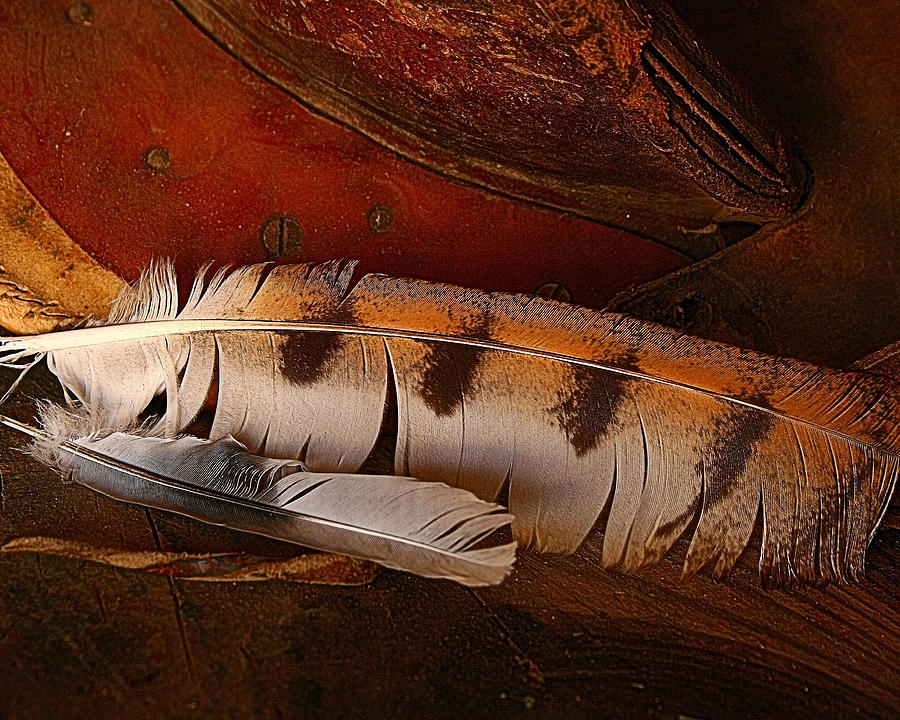 Feather and Leather Photograph by Steven Reed