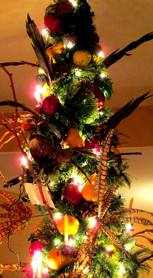 Feather Christmas Tree Photograph by Randall Weidner