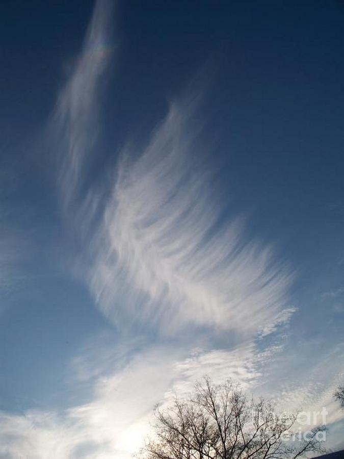 Feather Cloud By Diane Schiabor Photograph by Eric Schiabor