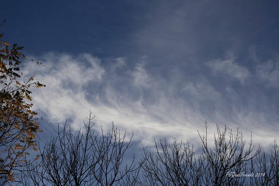 Feather Cloud Photograph by PJQandFriends Photography