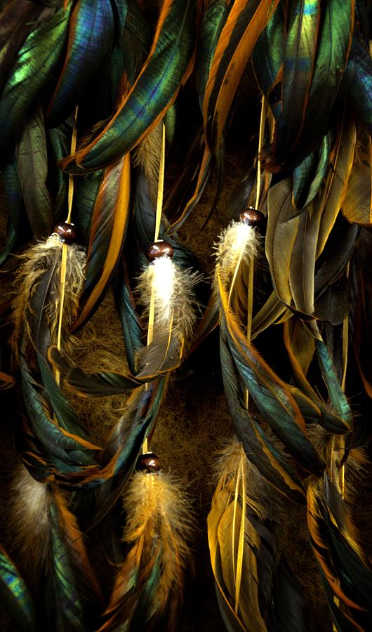 Feather Dancers 2 Photograph by Newel Hunter