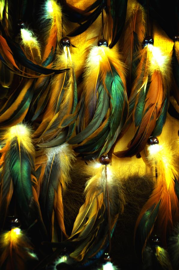 Feather Dancers Photograph by Newel Hunter