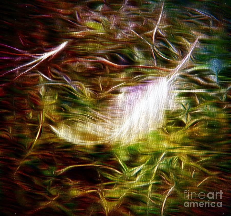Feather from Heaven Photograph by Michelle Frizzell-Thompson