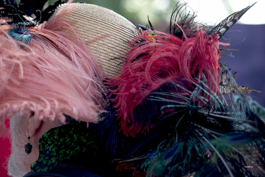 Feather Hat Photograph by Ivete Basso Photography