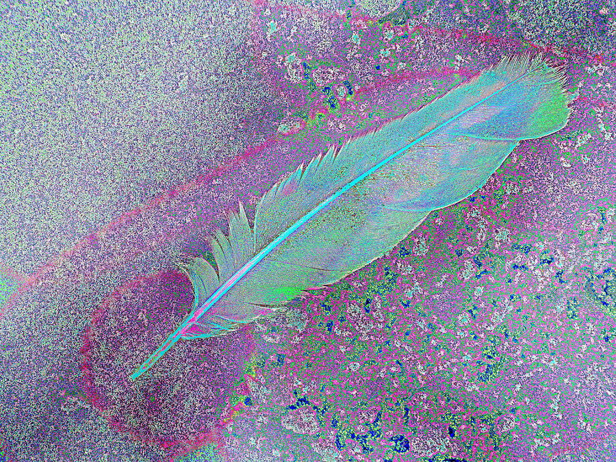 Feather Irridescent Photograph by Priscilla Batzell Expressionist Art Studio Gallery