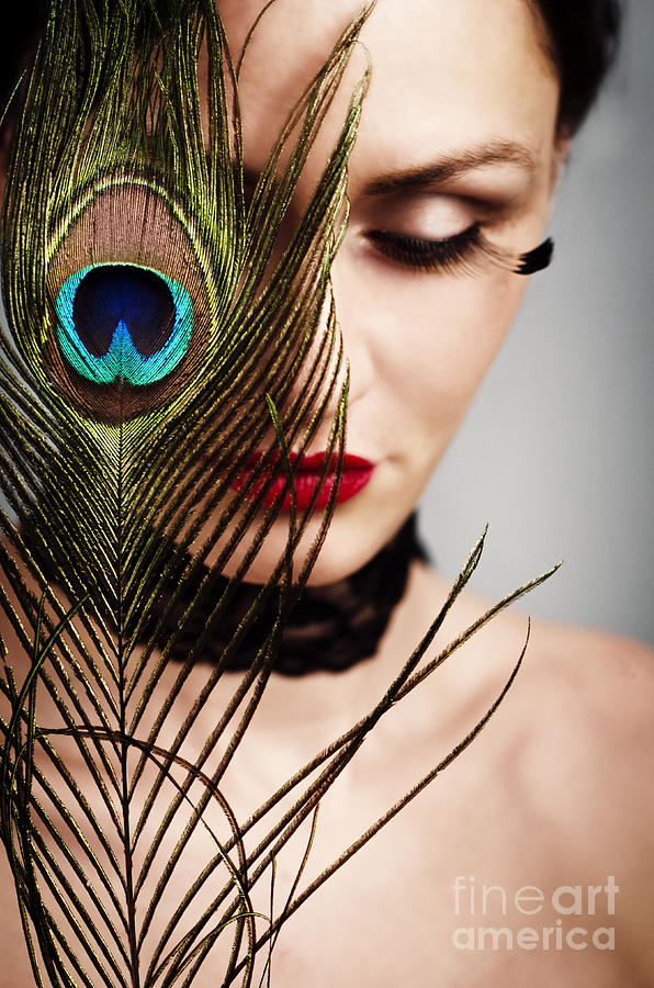 Peacock Photograph - Feather by Jelena Jovanovic