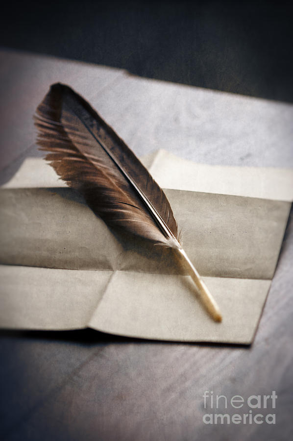 Feather On Folded Paper Photograph by Lee Avison