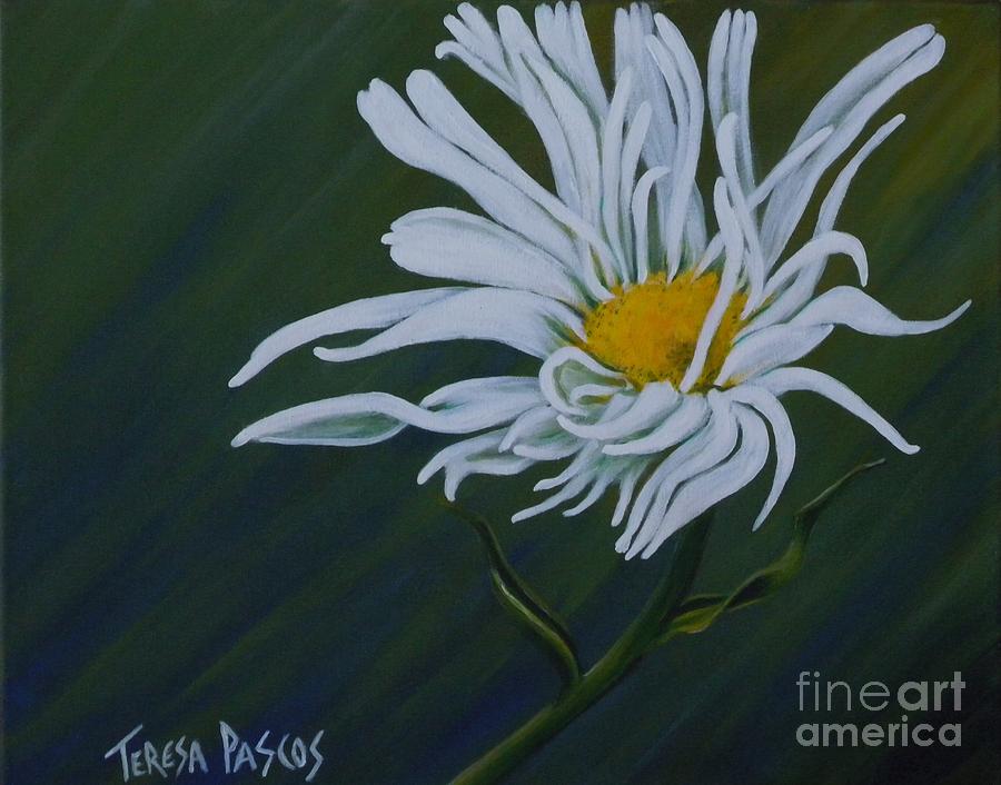 Daisy Painting - Feathered Daisy by Teresa Pascos