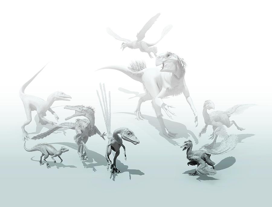 Feathered Dinosaurs Photograph by Mikkel Juul Jensen