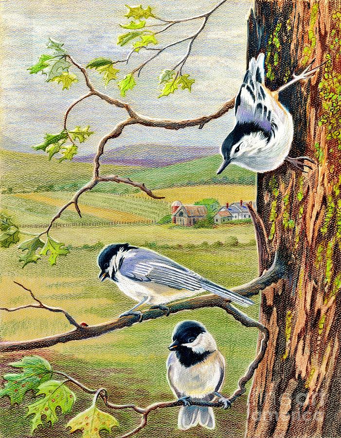 Feathered Friends Drawing by Marilyn Smith